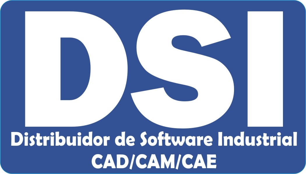 dsi dsi