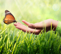 Handhabung der Environmental Compliance Handhabung der Environmental Compliance