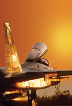 Solutions for Program Execution Excellence Solutions for Program Execution Excellence