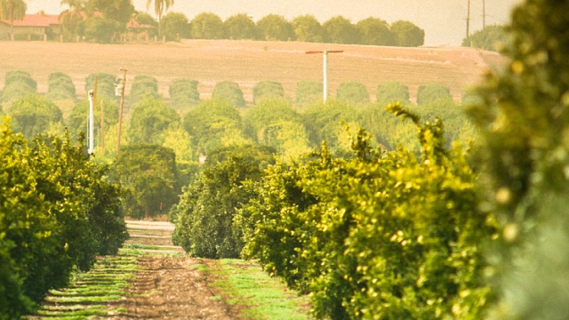 Opcenter APS - Applications in the food sector