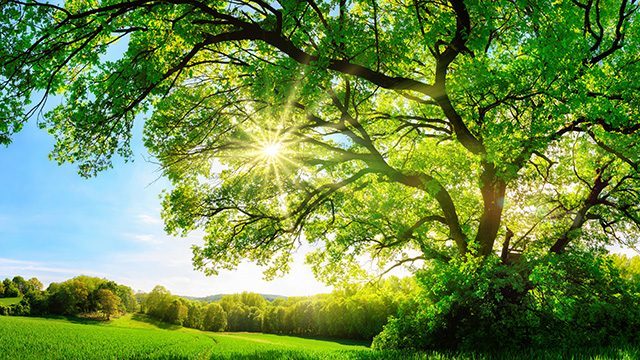 environmental compliance management for