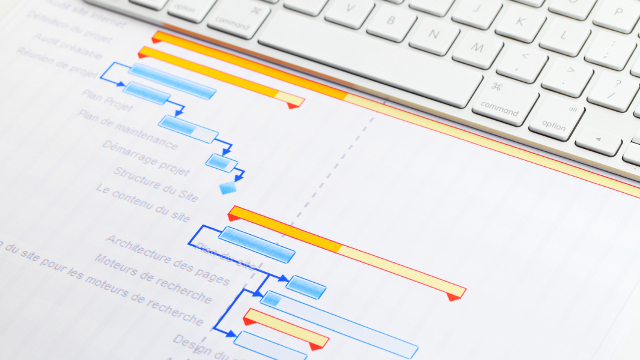 Project Management Siemens Digital Industries Software