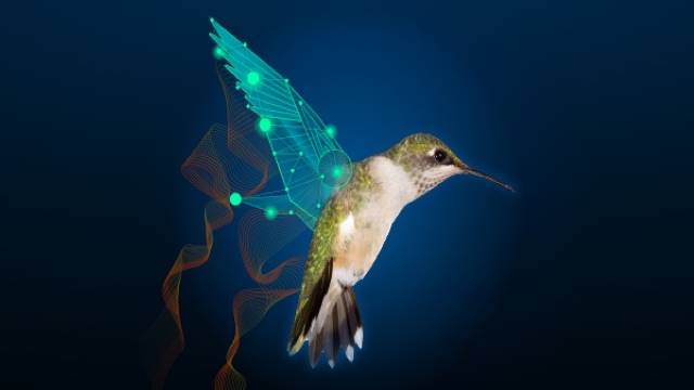 The hummingbird in flawless digital design flight
