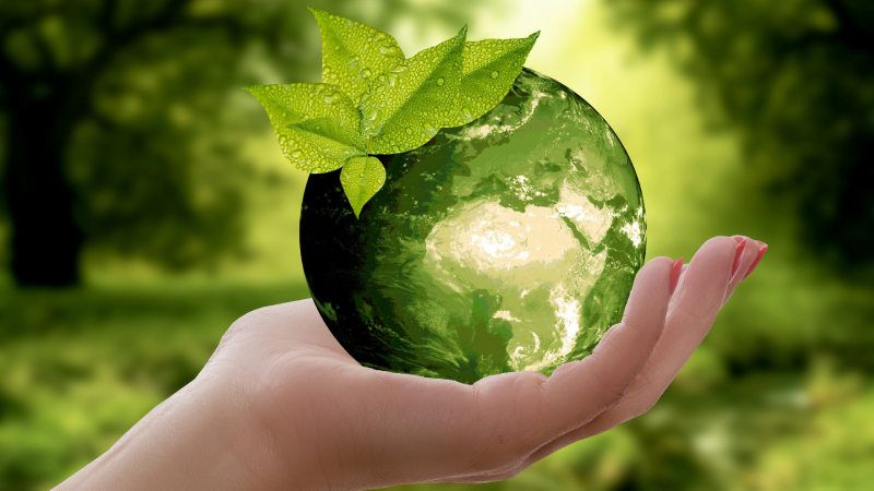 Image of a hand holding a green globe with a leaf.